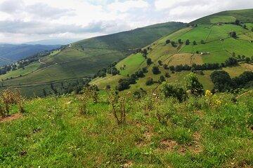 Gastronomy tour with tastings - small groups