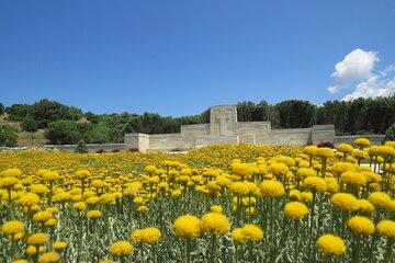 Full Day Private Tour of Helles and Anzac