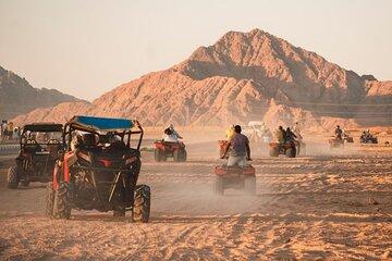 Super Safari, ATV and Sunset, Camel Ride With Dinner