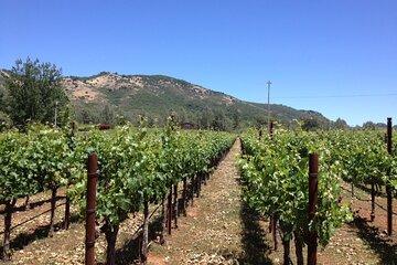 Private Fredericksburg Winery Transfer