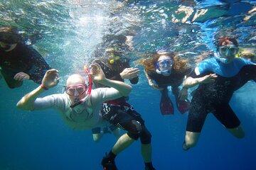Private Abu Dabbab Snorkeling with Turtles Adventure - Marsa Alam