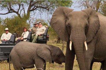 3-Day Safari Tour Hluhluwe and iSimangaliso Wetland Park