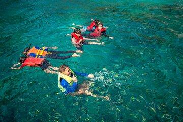 Private Tour Snorkeling in Saint-Martin