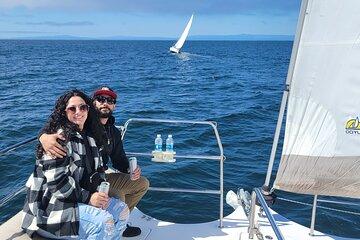 Catamaran Sailing Cruise in Monterey Bay