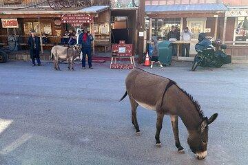 Oatman Mining Camp, Burros, Museums/Scenic RT66 Tour Small Grp