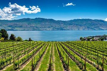 Full-Day Private Okanagan Valley Wine Tour from Kelowna