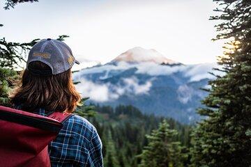 Mount Rainier Full Day Small Group Tour
