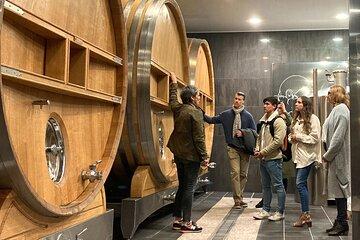The Secrets of Champagne by a Passionate Winemaker (English)