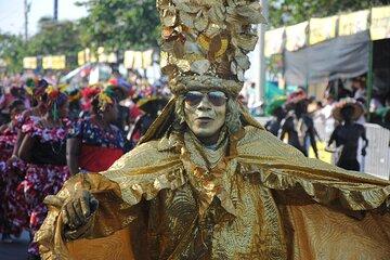 Barranquilla Carnival Day Experience