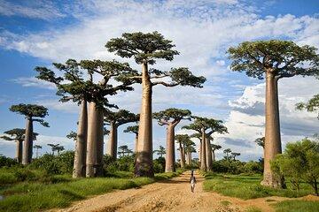 2-Day Adventure to Tarangire and Ngorongoro