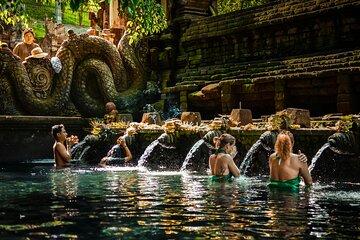 Experience Ubud Highlights Private Tour
