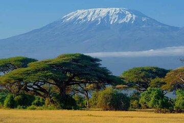 6 Days Kilimanjaro hike