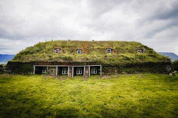 Cruise Tour Godafoss Turf Houses and Forest Baths Small Group