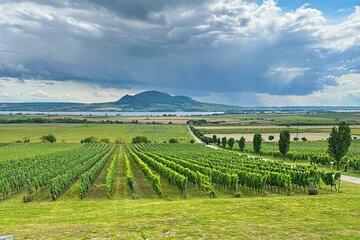Moravian E-Bike & Wine Day Trip From Brno