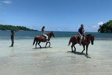 Horse Back Riding and Boston Jerk Centre Tour in Portland Jamaica