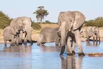 3-day trip to Victoria Falls and Chobe Safari