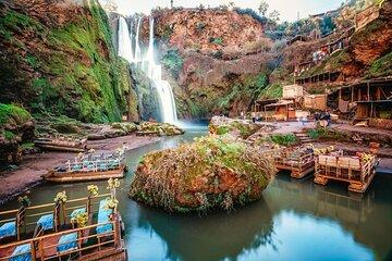 Day trip to the Ozoud waterfall from Marrakech,local guide,lunch