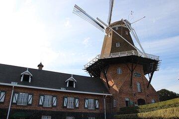 Piece of Holland Full-Day Tour in the Interior of Paraná
