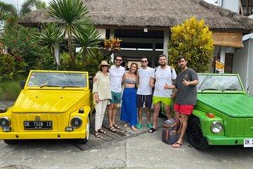 Luxury 1 Day Private trip Ubud with English Speaking Driver