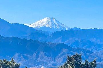 Private All Inclusive Family Tour to Takao Mountain with Prizes
