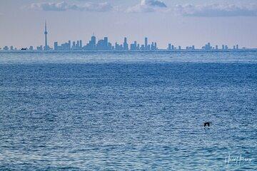 Transfer Niagara-on-the-Lake Canada to Toronto Pearson International Airport YYZ