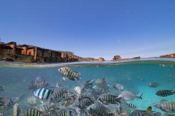 Eco Marine Safari - Snorkeling Moreton Island - Roma St Transfers