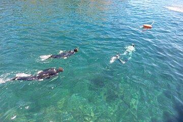 Boat trip to Cabras Islet