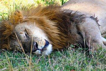 3 Days Safari to Samburu National Reserve from Nairobi