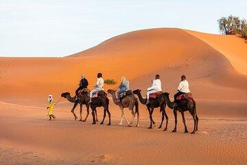 From Merzouga: 1 Night in the luxury camp. Camel ride and dinner