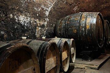 Taste and Tour Small Organic Wineries with a Winemaker