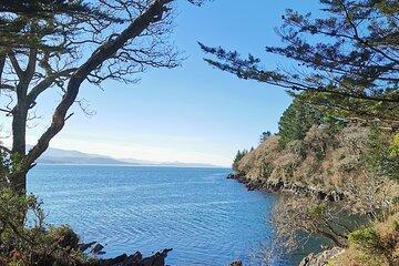 Guided Tour The Ring of Kerry, Skellig Ring and Valencia Island