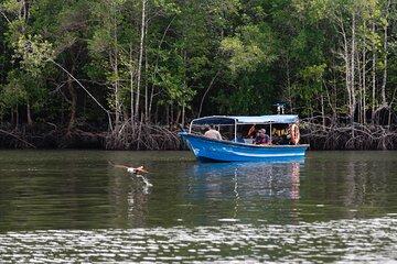 5 Hours Mangrove Boat Tour in Langkawi