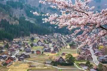 1 Day Private Charter Tour to Takayama & Shirakawago