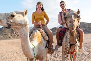 Day Trip From Hurghada To Cairo By Flight