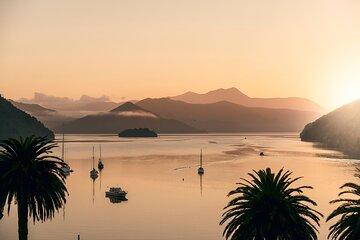 Picton Morning Guided Kayak with Afternoon Boat Cruise Tour
