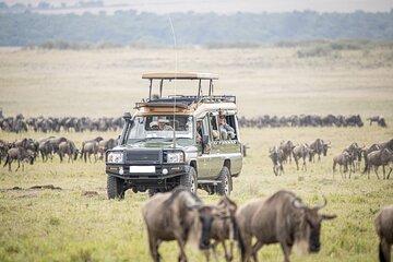10 Days Explore Kenya Wildlife Luxury Safari
