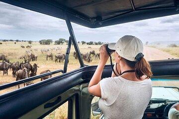 4 Days Serengeti and Ngorongoro Multi-Day Camping Safari