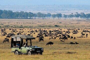 Fly-in to Maasai Mara
