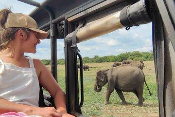 Minneriya National Park Elephant Jeep Safari Private Tour