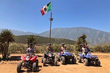 ATV Off Road Adventure Shore Excursion With a Taco Stop