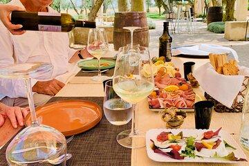 PIAZZA ARMERINA and WINERY - Private Tour starting from Agrigento