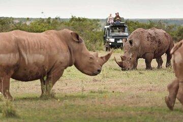 Nairobi Airport Layover Half Day Tour Nairobi National Park