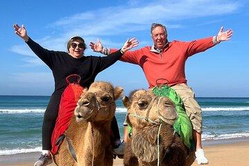 Top VIP Private Tour of Tangier from Estepona All Inclusive