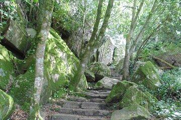 Private Day Tour from the Centre to the Highest Point in Sintra.