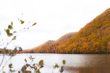 Ingonish and Keltic Lodge 6 Hours Cabot Trail Tour