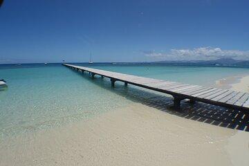 Full Day Nouméa Signal Island Turtle Tour