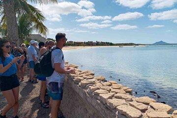 Boa Vista Island Half Day South Adventure