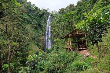Materuni Waterfalls and Kikuletwa Hot Springs Tour