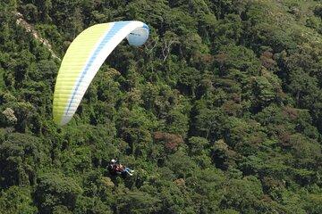 Paragliding Over Guacaica Jungle and Complete Coffee from Guatape