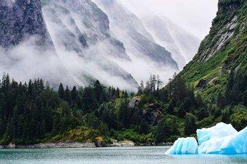 Tracy Arm Fjord and Glacier Explorer from Juneau
